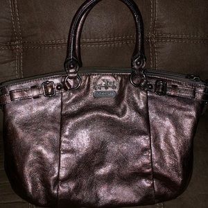 Metallic Coach Purse